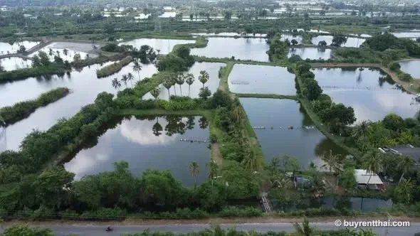 Urgent sale! Large plot of land in Nakhon Chai Si, excellent location, near the M81 expressway. Tha Phraya Nakhon Chai Si Nakhon Pathom 2